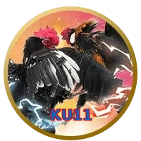 KU11